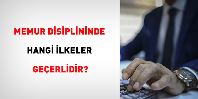 Memur disiplininde hangi ilkeler geçerlidir?