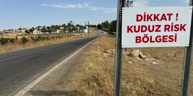 Artvin'de kuduz riski nedeniyle hayvan giriş çıkışları yasaklandı
