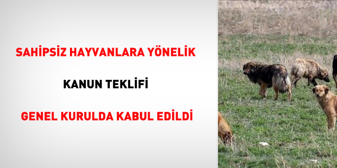 Sahipsiz hayvanlara yönelik kanun teklifi Genel Kurulda kabul edildi