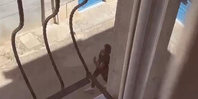 Eskişehir'de köpeğine kötü muamelede bulunan kişi tutuklandı