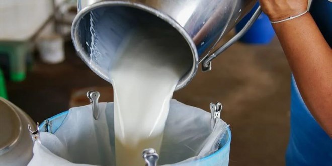İki bakanlık süt piyasasına yönelik inceleme başlattı