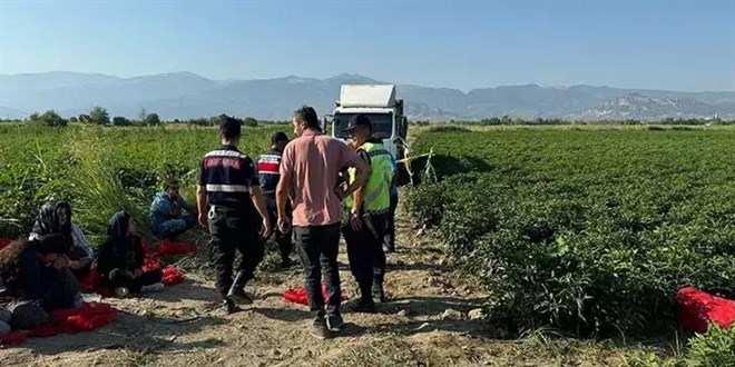 Tarlada uyuyan Ayşenur'u ezerek öldüren şoförü de çocuğun yakınları öldürdü