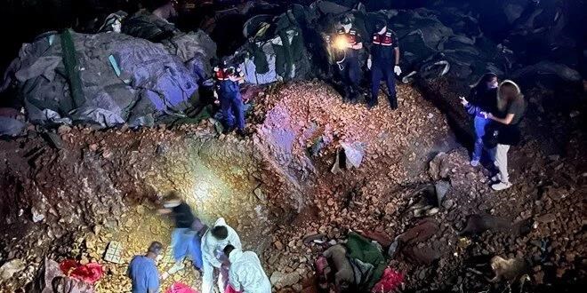Altındağ'da köpek ölümleri: Soruşturma başlatıldı