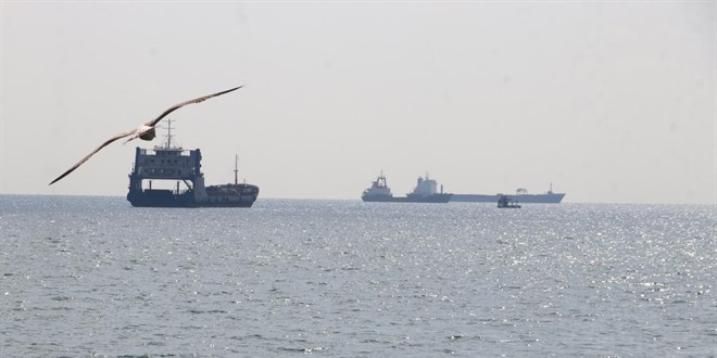 Oksijeni azalan Marmara Denizi için 'koma' tespiti