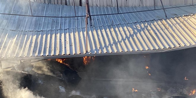 Antalya'da kağıt fabrikasında yangın