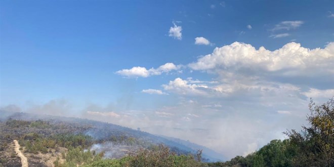 Bolu'da devam eden yangın Ankara istikametine yöneldi