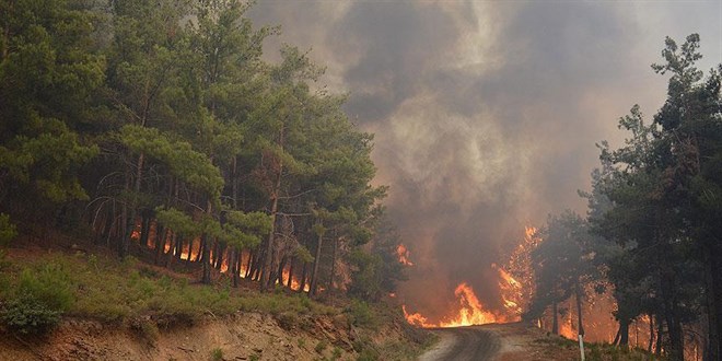 'İzmir'de yanan alan orman sınırı dışına çıkarıldı' iddiasına açıklama