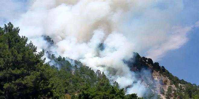 Muğla, İzmir ve Antalya'da orman yangını: Alevler hızla yayıldı
