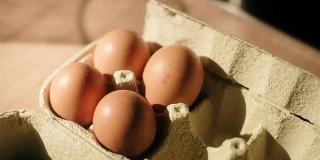 Yumurtada yeni uygulama! Artık üzerinde son tüketim tarihi yazmayacak