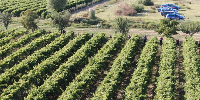 Manisa'da üzüm bağında silahla vurulan çiftçi öldü