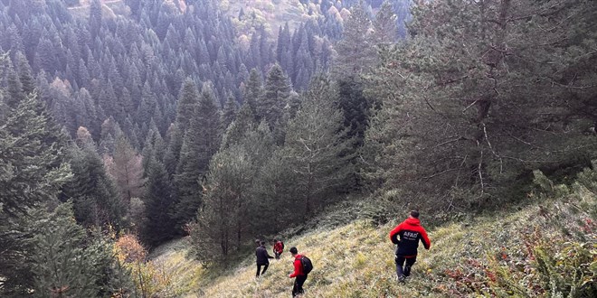 Bolu'da yaylada kaybolan yaşlı çift ölü bulundu