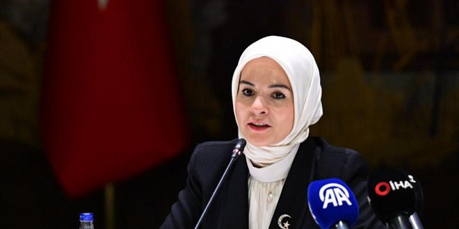 'Kadına şiddetle mücadelede devletin tüm birimleri sıfır tolerans ilkesiyle duruş sergiliyor'