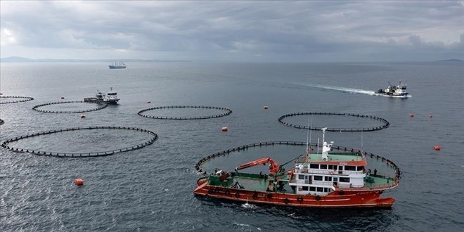 Karadeniz'in 9 aylık su ürünleri ihracatı 266 milyon doları aştı