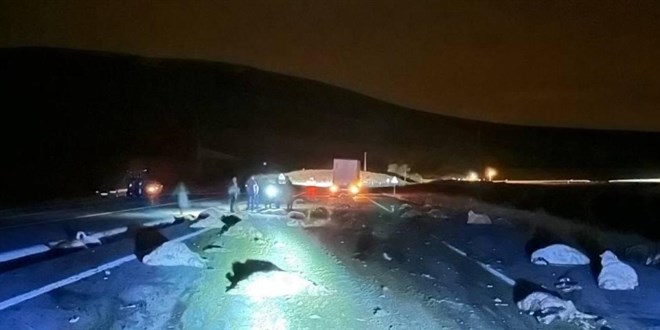 Ardahan'da tırın çarptığı 74 küçükbaş hayvan telef oldu