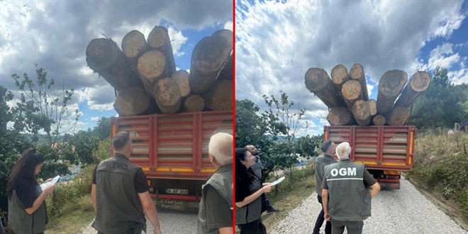 Bolu'da ormanda 1000 ağacın kaçak kesildiği iddiasıyla soruşturma