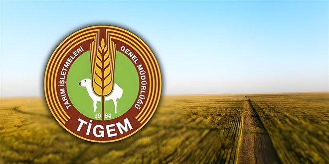 TİGEM 800 arı kovanı alımı yapacak