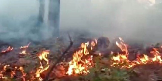 Kahramanmaraş'ta orman yangını 3 gündür devam ediyor