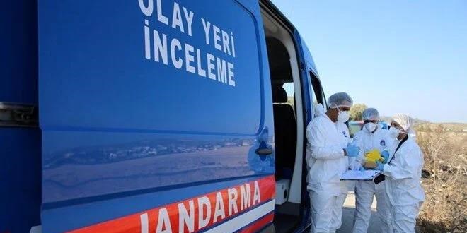 Domuz saldırısına uğrayan çiftçi öldü