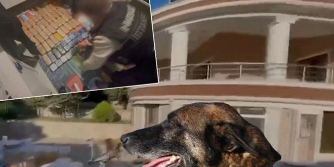 Narkotik köpeği Ares uyuşturucu baskınında öldü