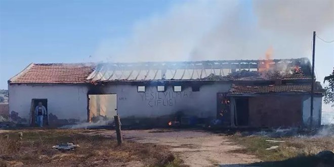 Anız yangını depoya sıçradı, 15 ton buğday ve 500 saman balyası kül oldu