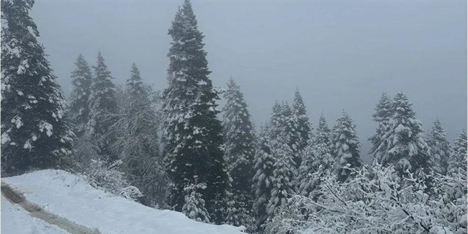 Meteoroloji uyardı: O ilde kar yağışı bekleniyor