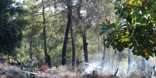 Alanya'da hava aracı ormanlık alana düştü
