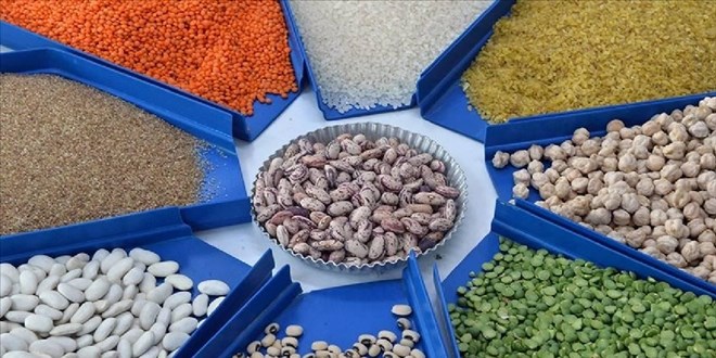 Hububat ve bakliyat ihracatı 9,7 milyar dolar oldu