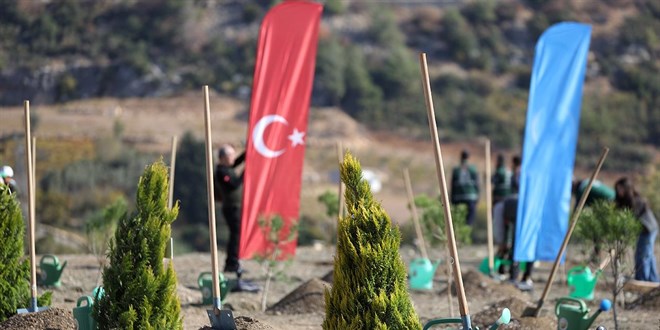 Ulaştırma projeleriyle 96,7 milyon fidan toprakla buluştu