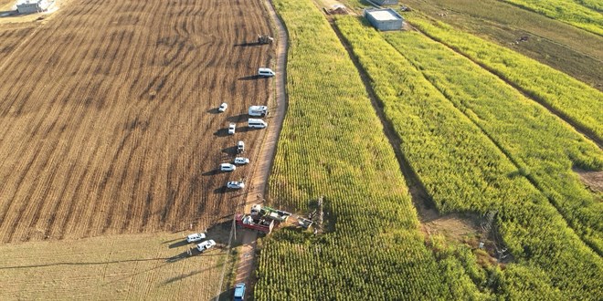 Şanlıurfa'da tarlalarda 15 kayıt dışı trafo tespit edildi