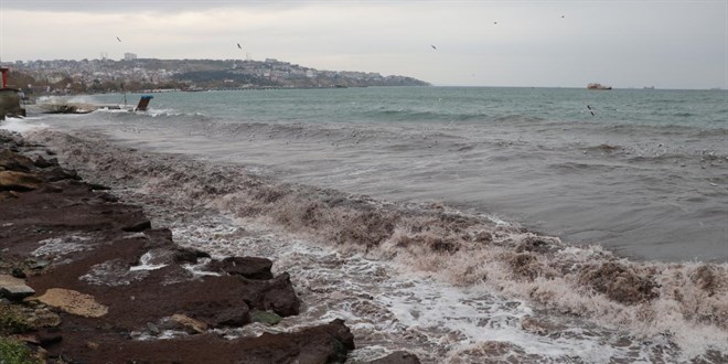 Tekirdağ sahilinde kırmızı yosun alarmı
