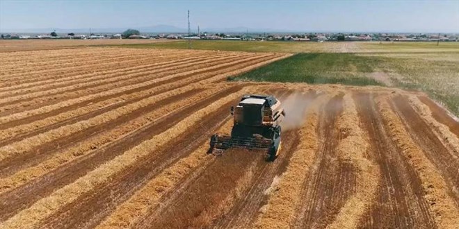 Bakanlık açıkladı: Tarımsal arazilerin kiralanması nasıl olacak?