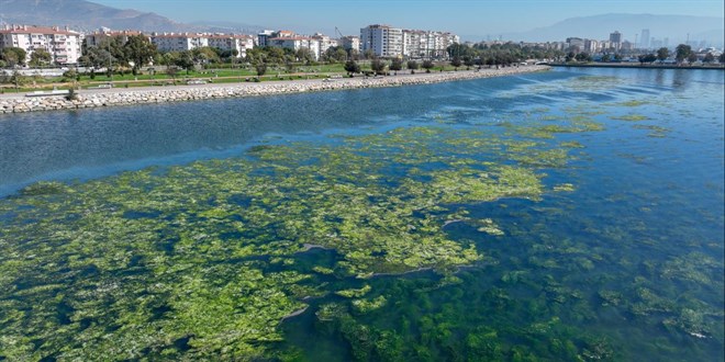 Bakanlıktan 'İzmir için nefes' projesi