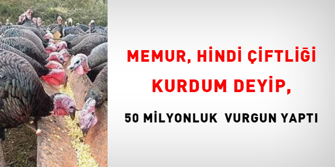 Memur, Hindi Çiftliği kurdum deyip, 50 milyonluk vurgun yaptı