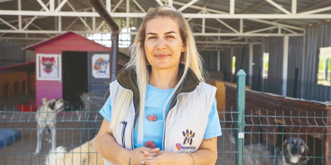 'Köpek Velisi' bağışlarla oto alım satımı işine girmiş