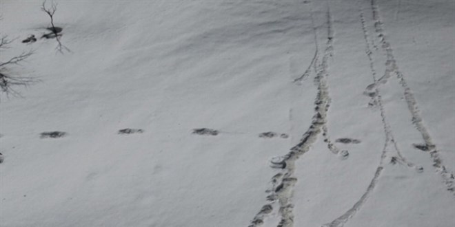 Erzurum'da kardaki ayak izlerinden yakalanan insan kaçakçıları adliyede