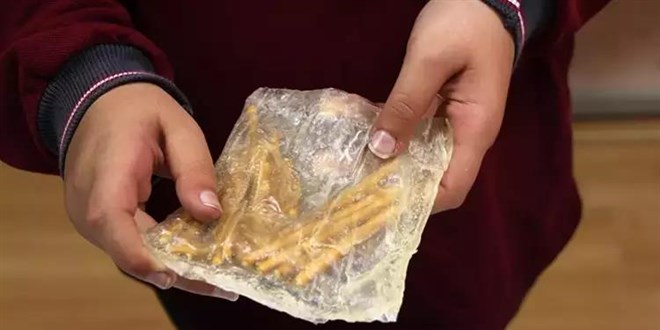 5'inci sınıf öğrencileri nişastadan biyoplastik üretti