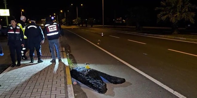 Kardeşini korumak isterken otomobilin çarpmasıyla hayatını kaybetti