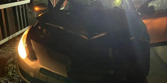 Ordu'da otomobil yayalara çarptı: 1 ölü, 1 yaralı