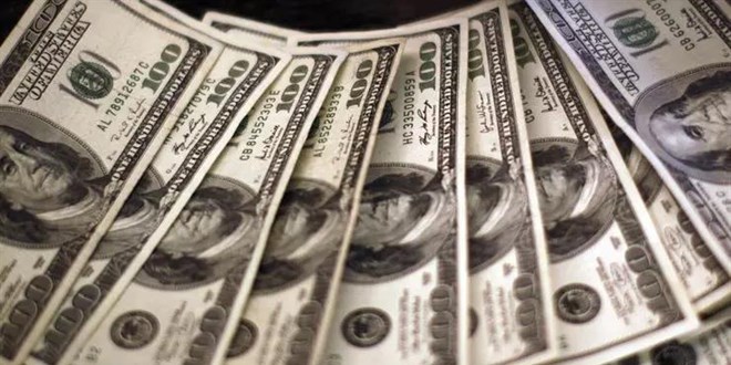 Dolar yükselişini sürdürdü