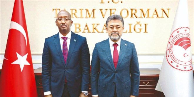 Somali ile balıkçılıkta iş birliği