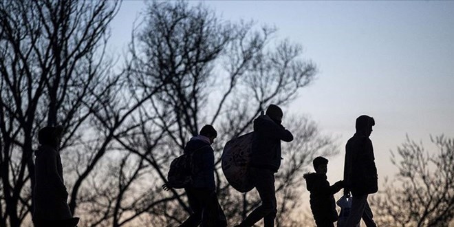 Kırklareli'nde 14 kaçak göçmen yakalandı