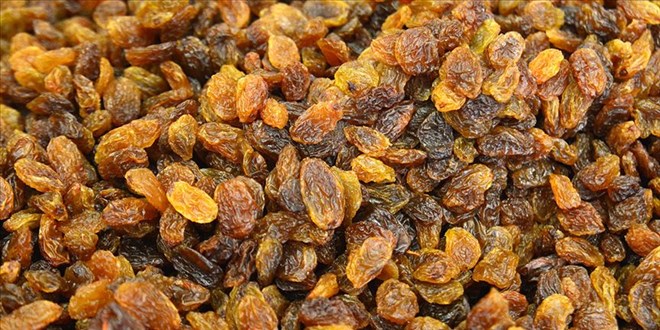 Kuru üzüm ihracatı 525 milyon doları aştı