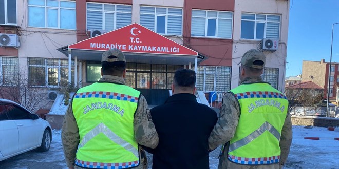 Van'da 10 düzensiz göçmen yakalandı