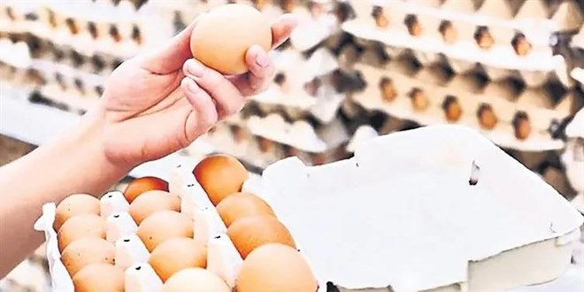 Yumurta kanatlandı uçuyor: Tanesi 6 TL'yi aştı
