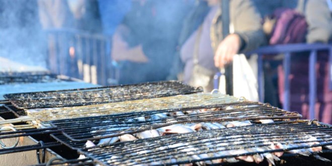 Kocaeli'de düzenlenen festivalde 2 ton hamsi tüketildi