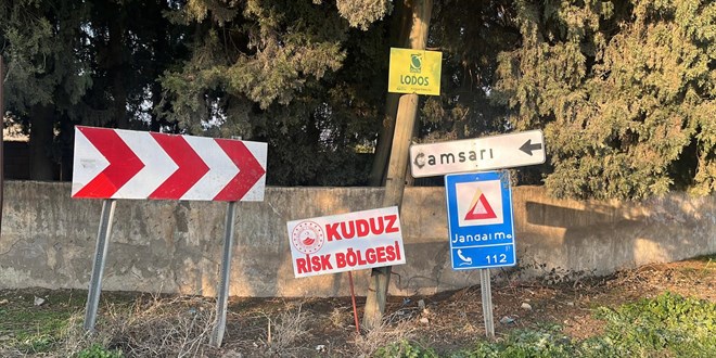 Hatay'da bir mahalle kuduz nedeniyle karantinaya alındı