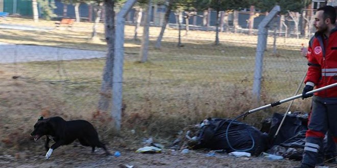 Köpeğin saldırısına uğrayan Zeynep yaralandı