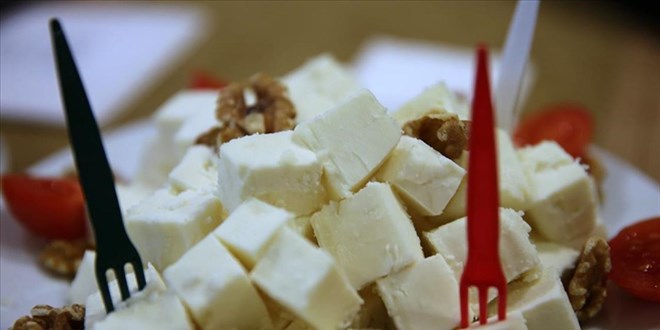 Edirne beyaz peyniri için AB'ye tescil başvurusu yapıldı