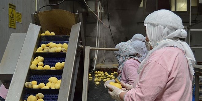 Gıda sanayisi 160 milyar dolarlık hacme ulaştı