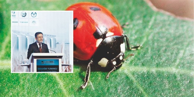 Zirai ilaç kullanımı böceklerle bitirilecek
